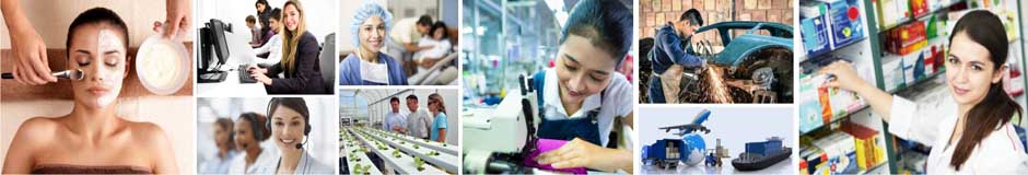 Our Working Sectors